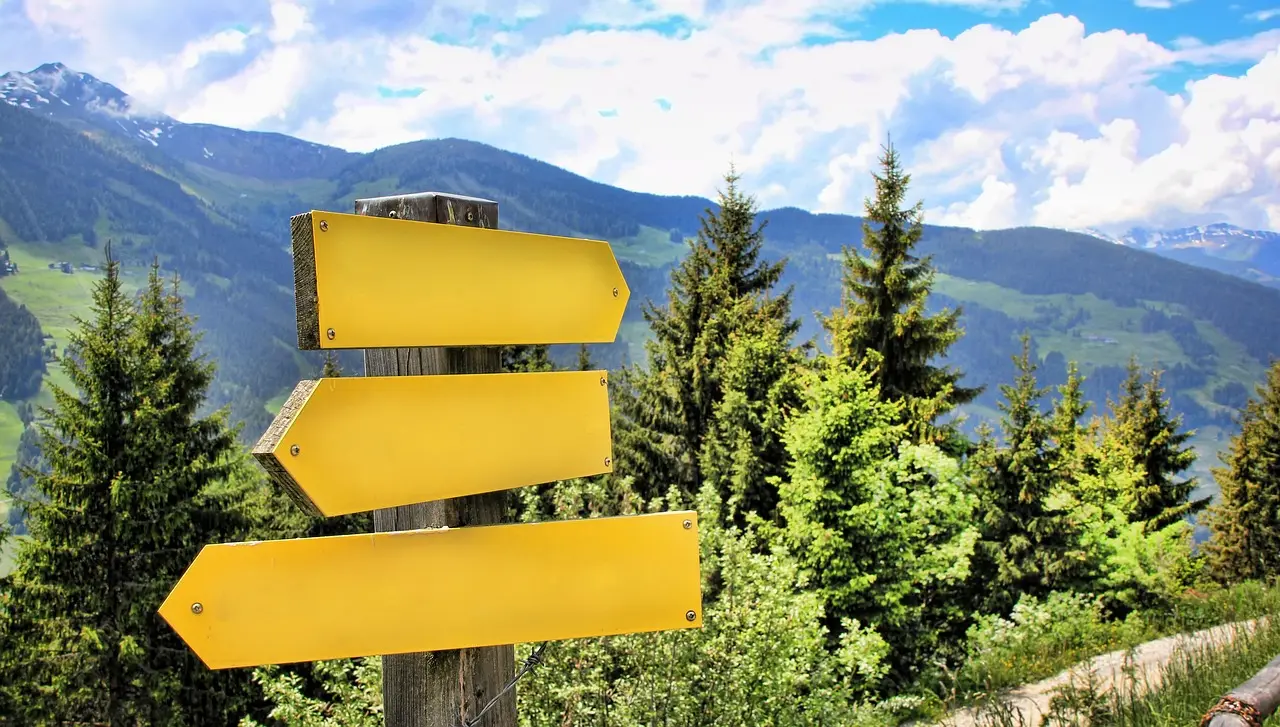A wooden signpost with blank boards at a fork in a path